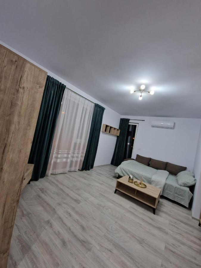 Апартаменти Apartament Modern Cu O Camera Тімішоара Екстер'єр фото