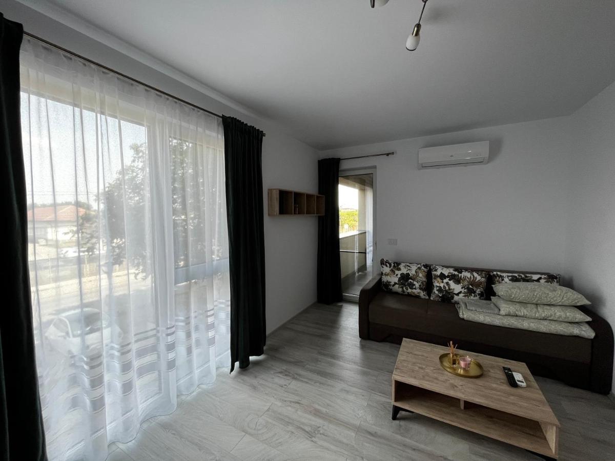 Апартаменти Apartament Modern Cu O Camera Тімішоара Екстер'єр фото